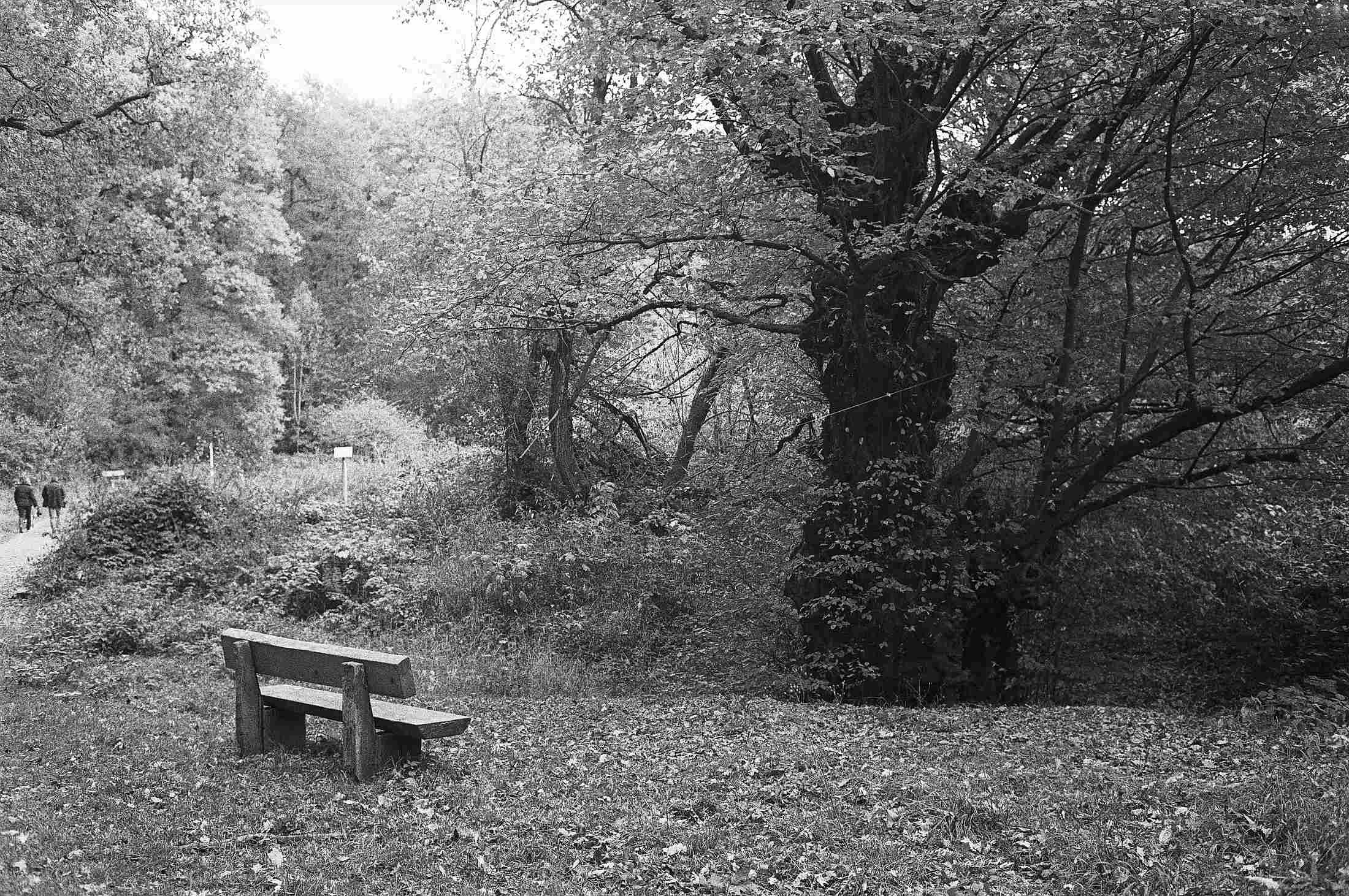 2018 10 27 CLE  (12)